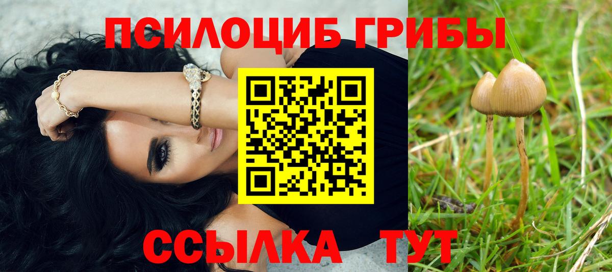 Псилоцибиновые грибы Psilocybe  Вход с VPN  Губкинский 